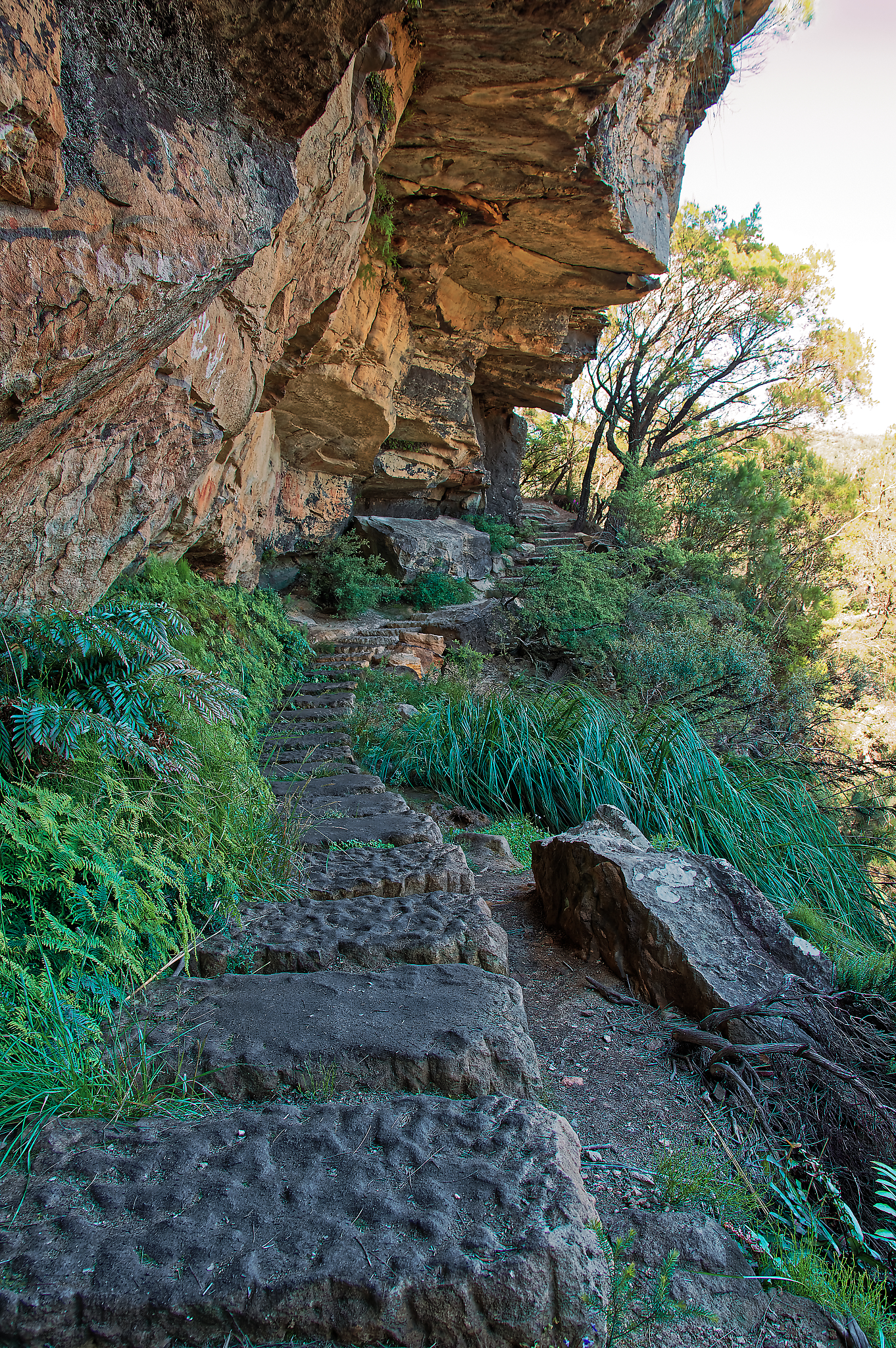 11 January 2023   0138fotosbyme 1